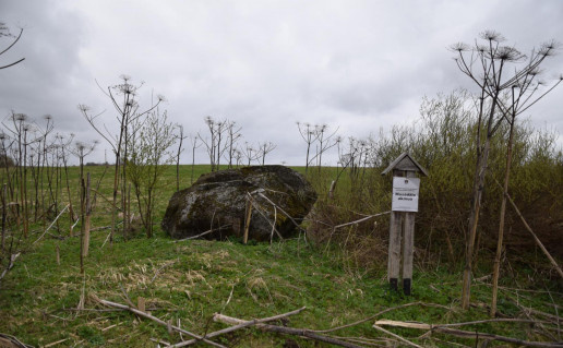 10. Mosėdžio akmuo.jpg